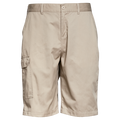 Ranch Cargo Shorts Mens