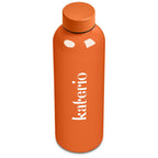 DR-KS-313-B-O-02