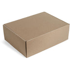 GF-SD-826-B-08-NO-LOGO