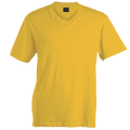180g Barron V-Neck T-Shirt