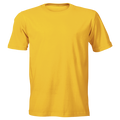 160g Wise-Buy 100% Cotton T-Shirt Promo Fit