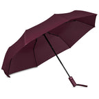 Serendipio Milestone Auto-Open Compact Umbrella